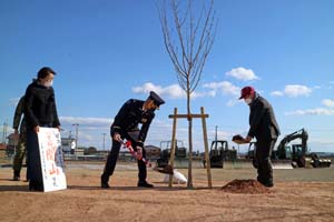 徳島駐屯地開設10年を記念 桜を植樹