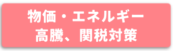 物価・エネルギー高騰、関税対策
