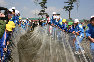 地引き網体験.jpg