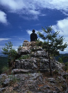 大師像(太龍寺).jpg