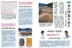 古の阿南を辿る～加茂宮ノ前・若杉山遺跡～