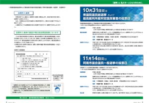 衆議院議員総選挙および最高裁判所裁判官国民審査、阿南市議会議員一般選挙