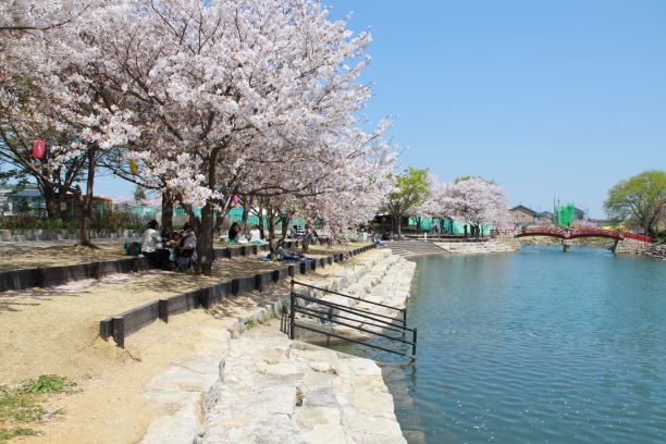 羽ノ浦桜づつみ公園