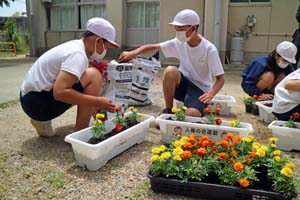 人権の花、市内小学校へ贈る