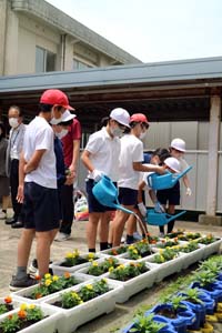 人権の花、市内小学校へ贈る