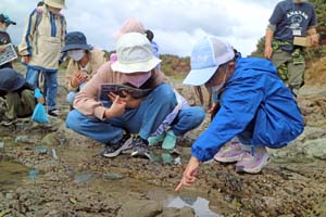 生き物観察　楽しくＳＤＧｓを学ぶ