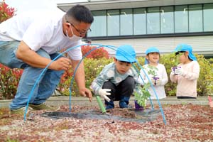 市役所屋上庭園　植え付け体験