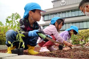 市役所屋上庭園　植え付け体験