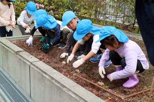 市役所屋上庭園　植え付け体験