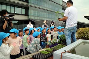 市役所屋上庭園　植え付け体験