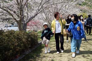 桜花らんまん　桜まつり