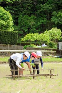 手作業での田植えを体験