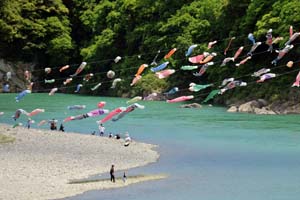 阿南の加茂谷鯉まつり