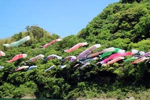 加茂谷鯉まつり