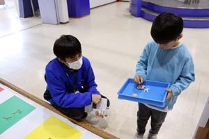 青少年のための科学の祭典