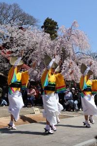 津乃峰神社桜まつり