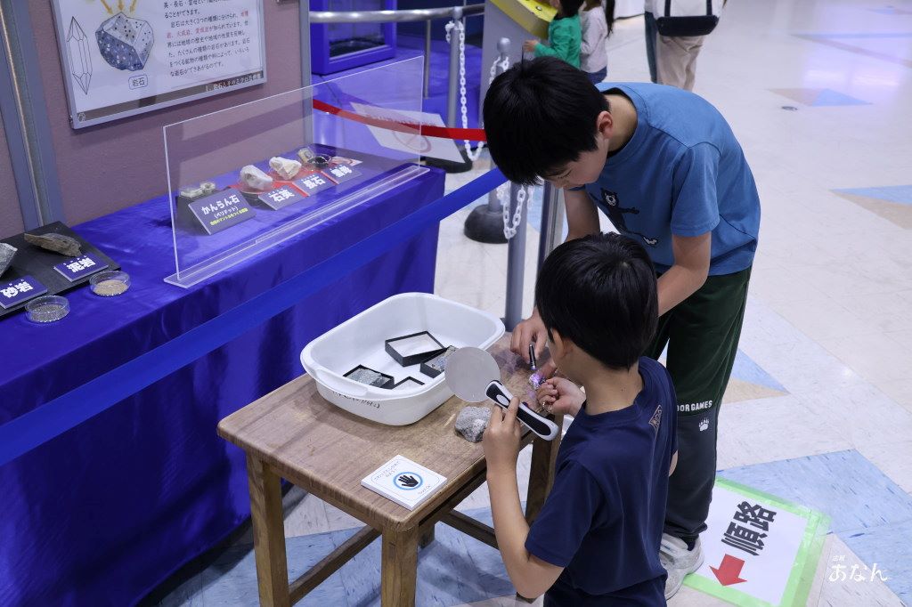 科学センター