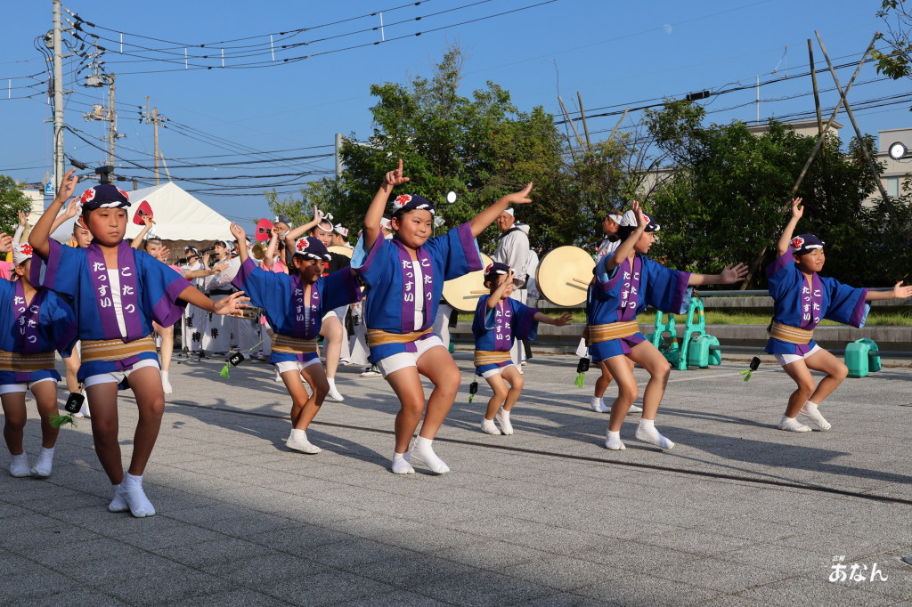 阿波踊り競演
