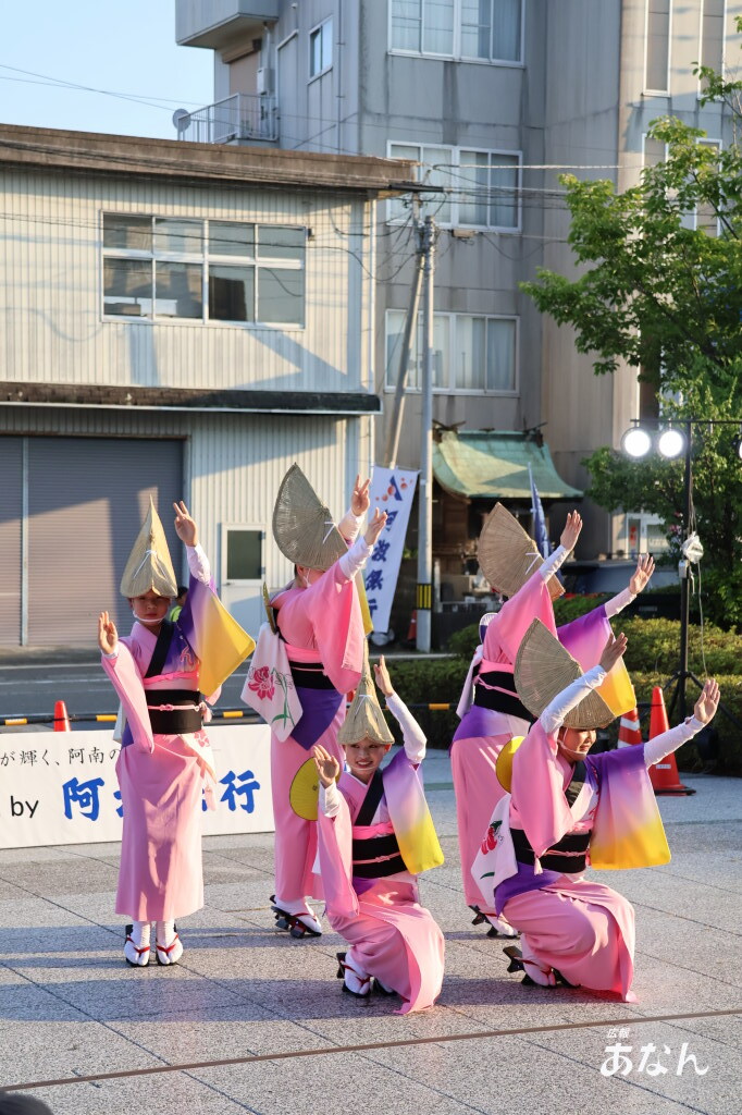 阿波踊り競演
