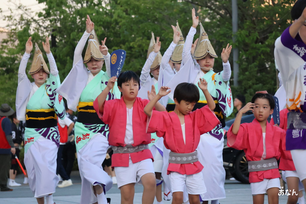 阿波踊り競演