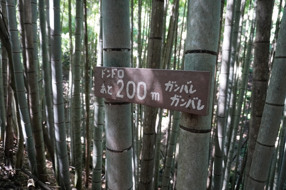 道のり2 道のり③