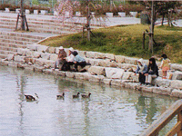 桜つづみ公園